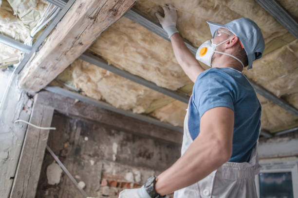 Best Energy-efficient Insulation  in Shoshone, ID