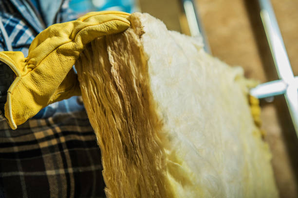 Best Energy-efficient Insulation  in Shoshone, ID