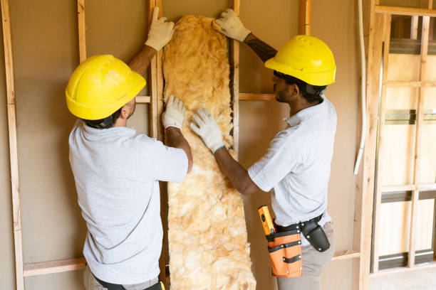 Best Attic Insulation Installation  in Shoshone, ID