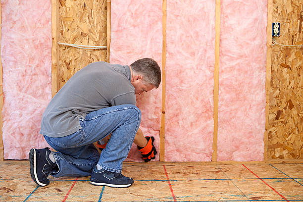 Best Attic Insulation Installation  in Shoshone, ID